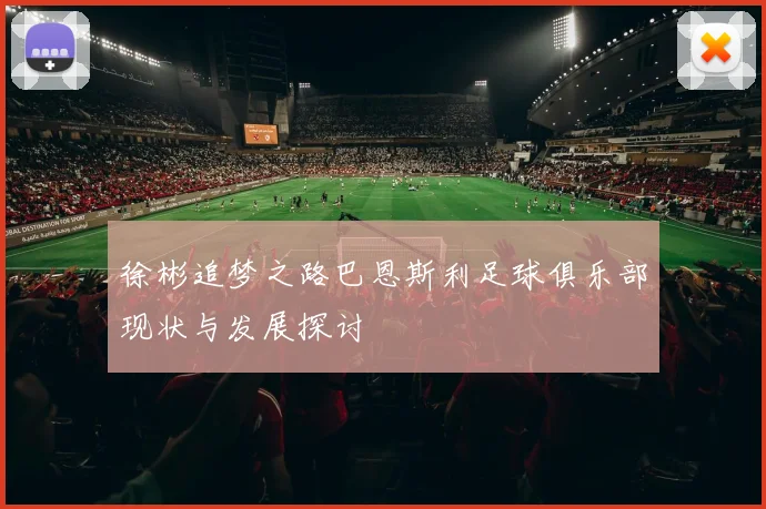 徐彬追梦之路巴恩斯利足球俱乐部现状与发展探讨